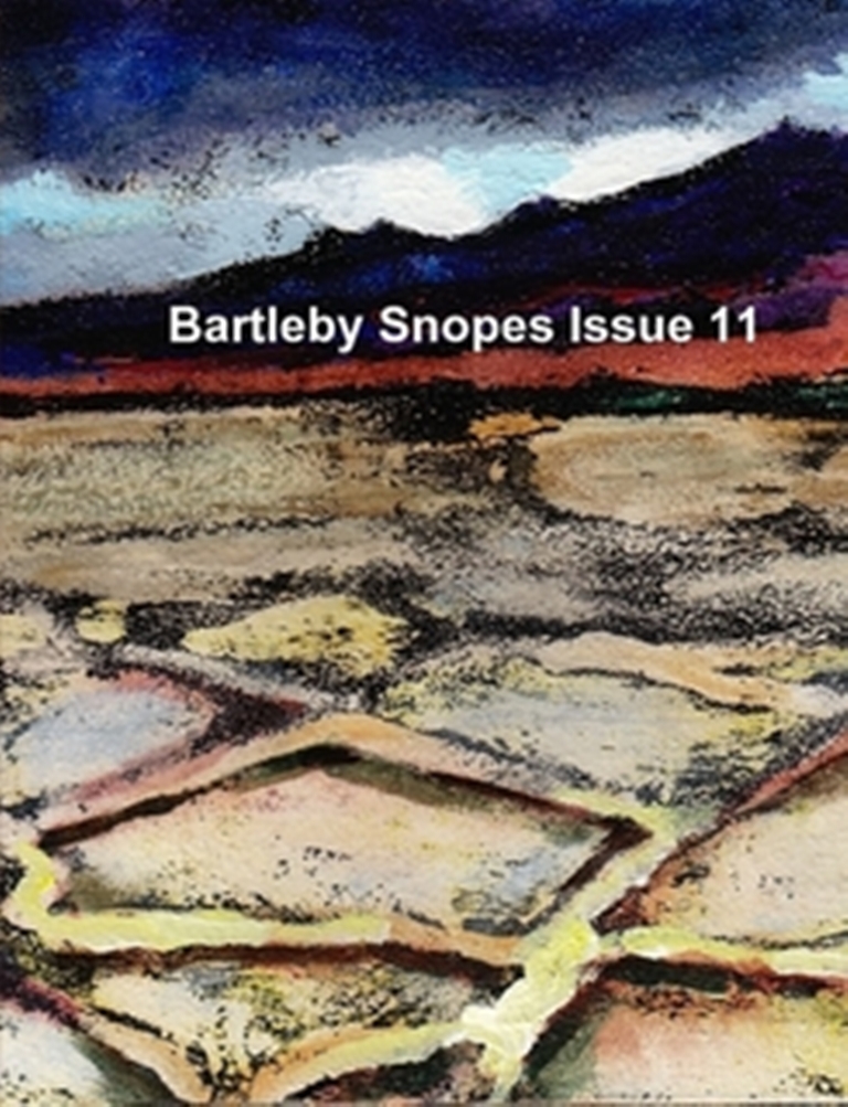 Bartleby Snopes Literary Magazine Issue 11 Dialogue Contest Finalists